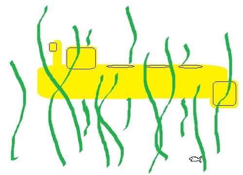 in amoungst the kelp